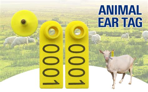 rfid tags for goats|sheep and goat identification program.